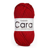 Cara Soft Acrylic Knitting Crochet Yarn SCYarn