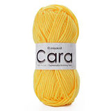 Cara Soft Acrylic Knitting Crochet Yarn SCYarn